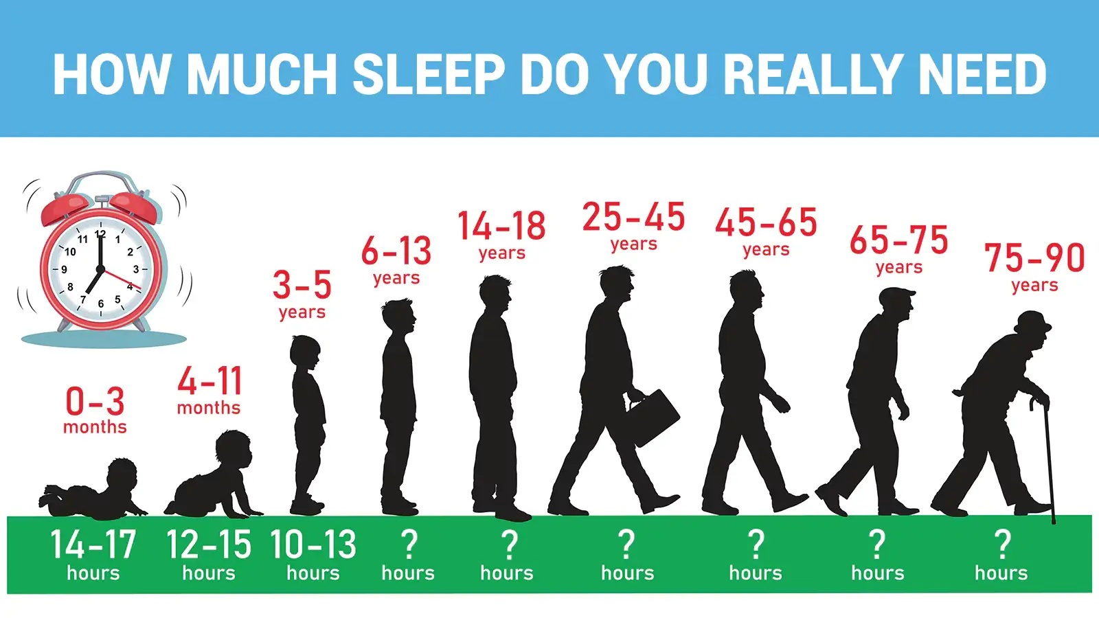 How much sleep do you really need